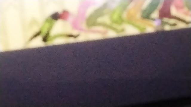VID_20250612_181441.mp4