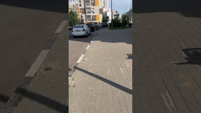 Бульвары и Байки: Реутово