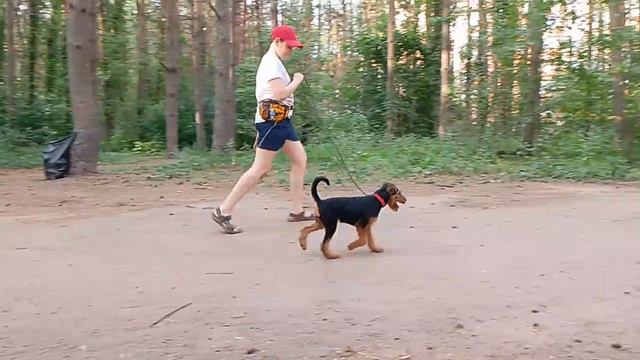 VID_20250612_204552_743.mp4
