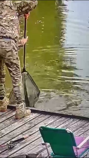 КРХ ТРИФОН