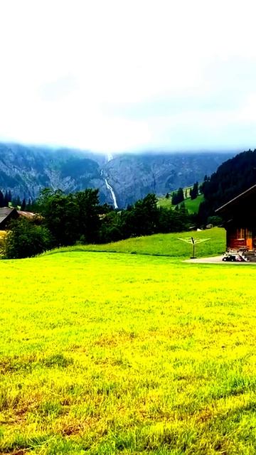 Камера показала