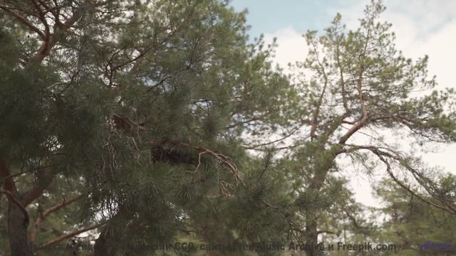 Это видео - как путешествие в другой мир! - Together -- Hollie Cook -- Live at WFMU for Sophisticate
