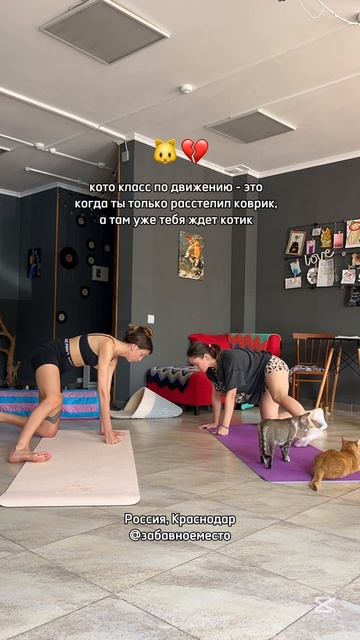 здесь должна была быть цитата из Максима Горькова « Супруги Орловы », но она не помещается