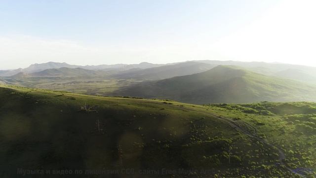Под эту музыку даже лес выглядит как сказка - Lamb And Wolf -- Podington Bear -- Said Lion To Lamb (