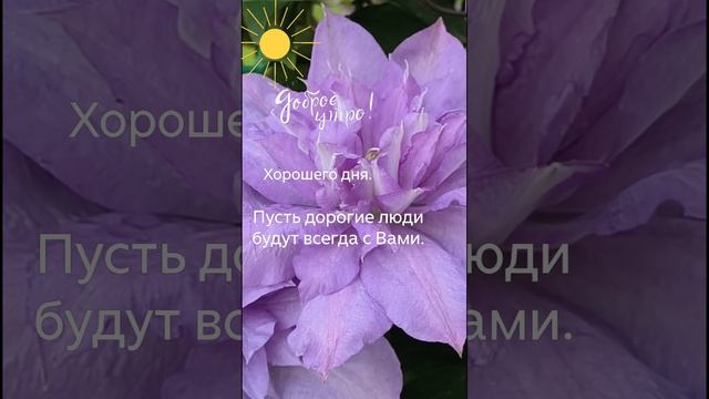 Пусть дорогие люди будут всегда с Вами.#утро