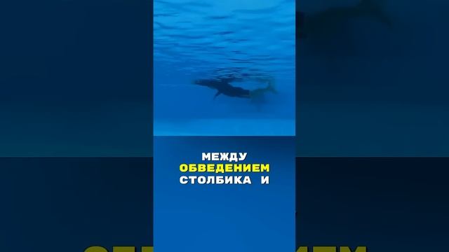 Прием, как еще сделать гребок в кроле более экономичным и эффективным!