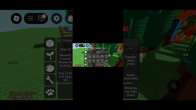 XRecorder_20250612_01.mp4