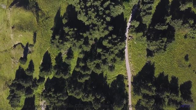 Что на самом деле происходит в этом видео Ответ вас шокирует! - Fields -- Big Quiet -- Live at Monty