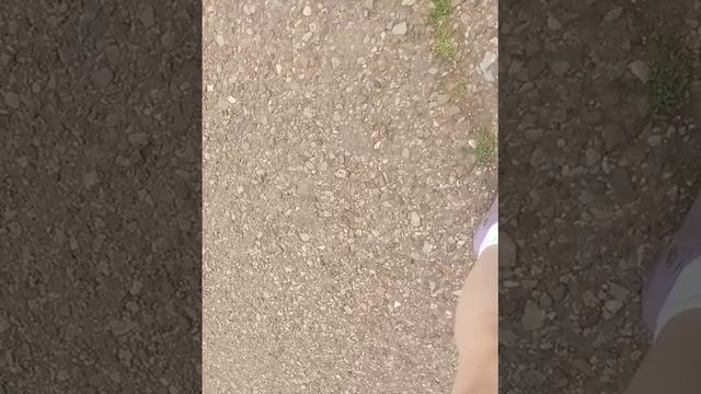 Мы учимся котатся на велике🚲🚲🚲