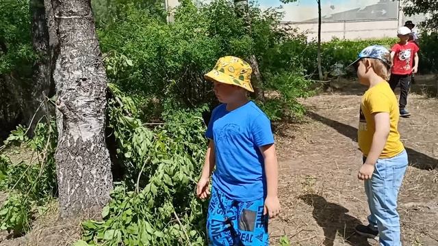 лагерь 1 смена 2023