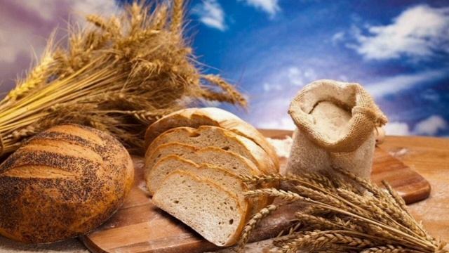 ЧЁРНЫЙ ХЛЕБ РОССИИ. СИМФОНИЯ ЗЕМЛИ И ДУХА. 🌾🍞 Психолог Е. А. Седов