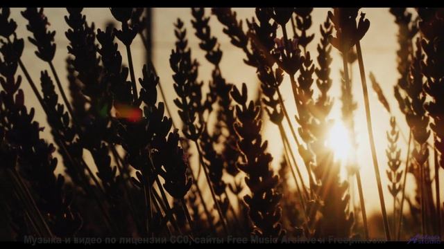 Музыка рвёт шаблоны вместе с этими кадрами - goonlyfe -- Vincent Augustus -- goonlyfe