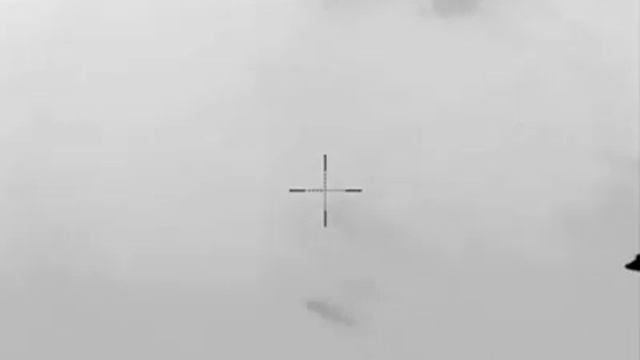 Видео боевой работы сил ПВО по шахидам в небе над Киевом показали военные.