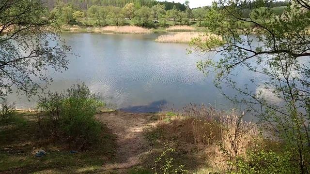 1141, 16.05.2021, Орловский район, деревня, лесной массив, лес, Вязки, Абашевский, пруд, ПЕРВОЦВЕТ Л