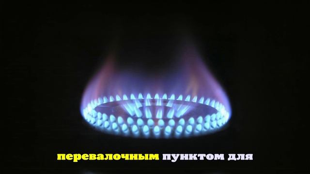Политолог Юшков: Франция намеренно оттягивает запрет на российский газ