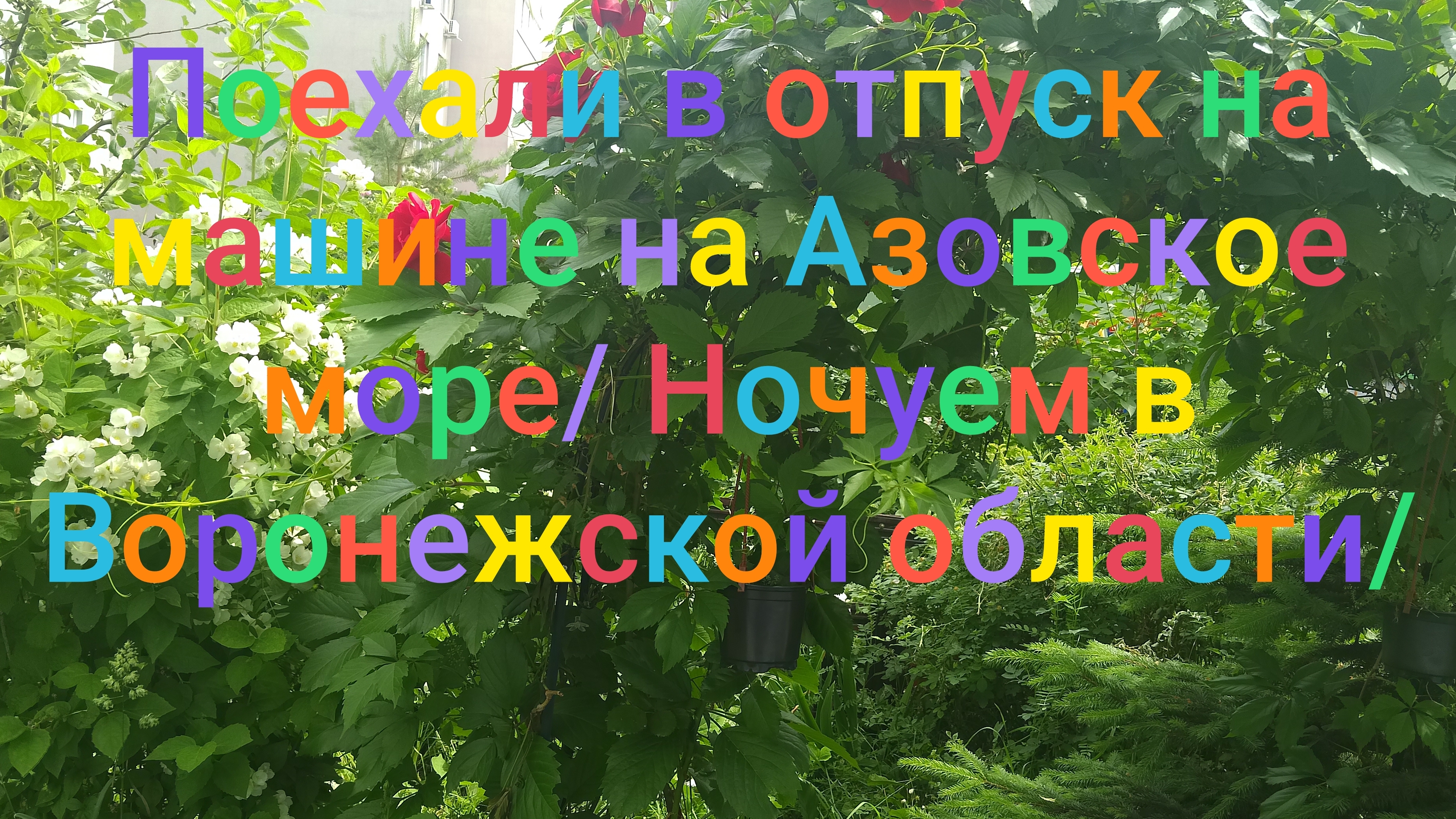 Поехали с мужем в отпуск на машине/ Ночуем в Воронежской области/