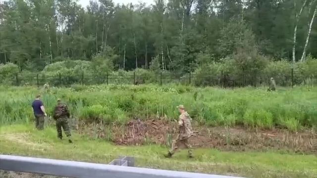 На МКАД спасли лосёнка, пытавшегося перейти трассу!