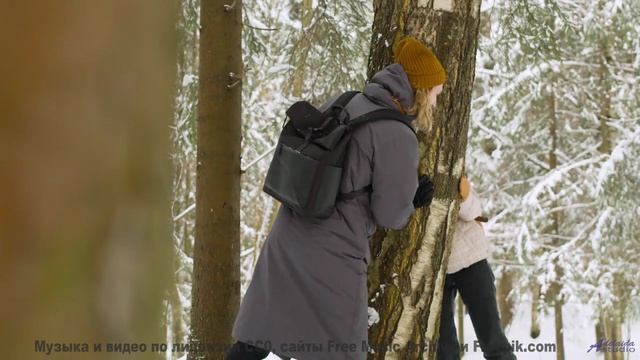 Леса танцуют в такт каждой новой ноте - Stay -- A. A. Aalto -- Connections