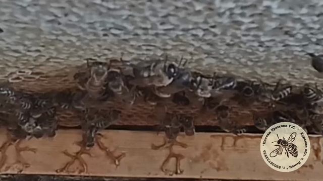 1000311121.mp4