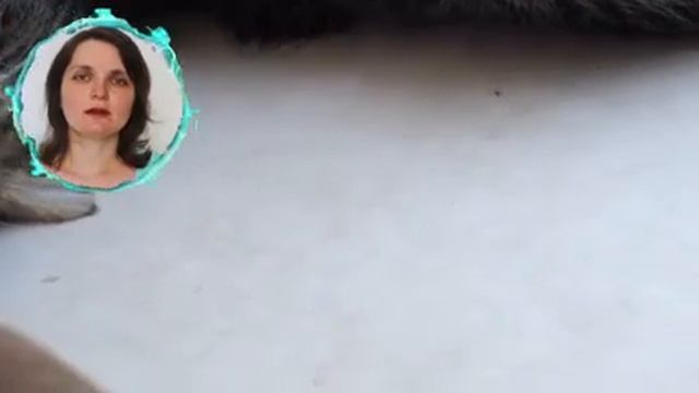 1000067944.mp4