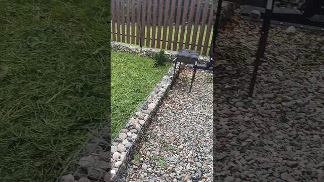 Архыз территория 1этаж.mp4