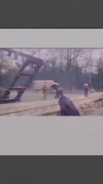 Глядя на эти кадры понимаешь, что человечество в какой то момент пошло явно не по тому пути развития