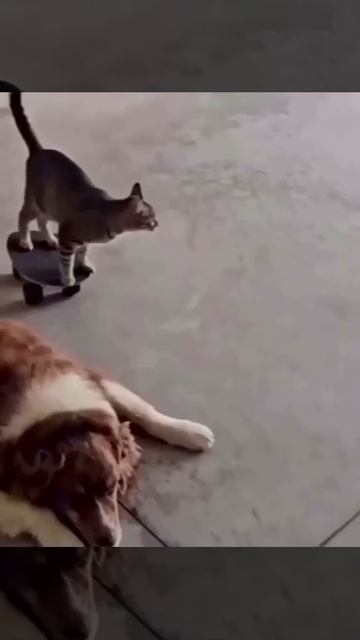 Как ощущается короткая неделя 😎
