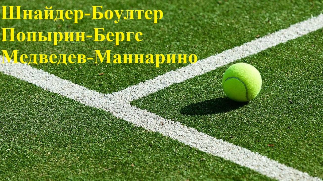 Шнайдер-Боултер, Попырин-Бергс, Медведев-Маннарино прогнозы на теннис 12 июня 2025
