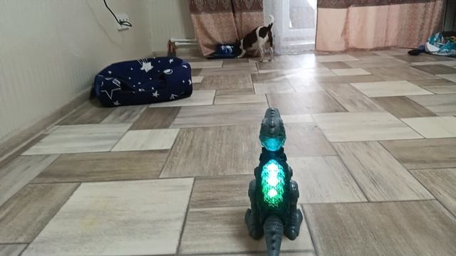 Мой приключенческий день: игра с динозавром