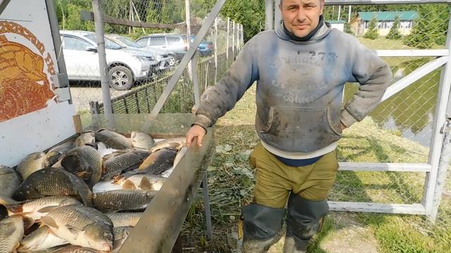 Отчет рыбака за 12 июня 2025