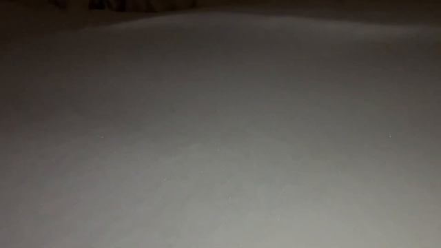 Ночная прогулка на лыжах. (04.01.2024)