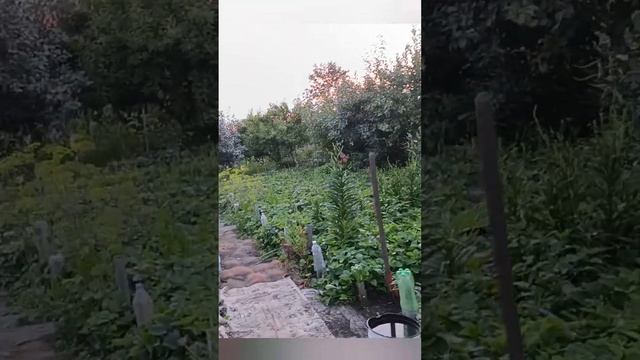 Домик без крыши в дождь.03.08.24.Сев Каз.Ч.700.