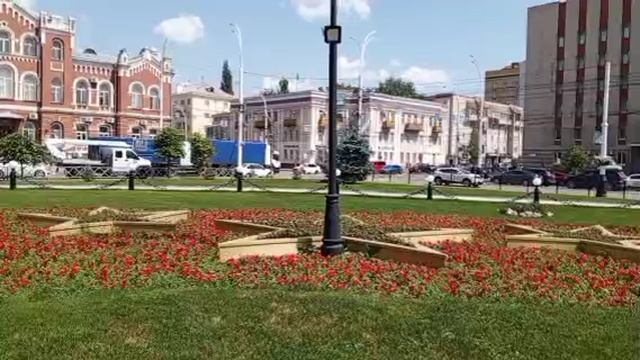 1000008254.mp4444