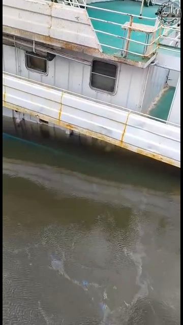 Авария на Енисее, которую можно было избежать...