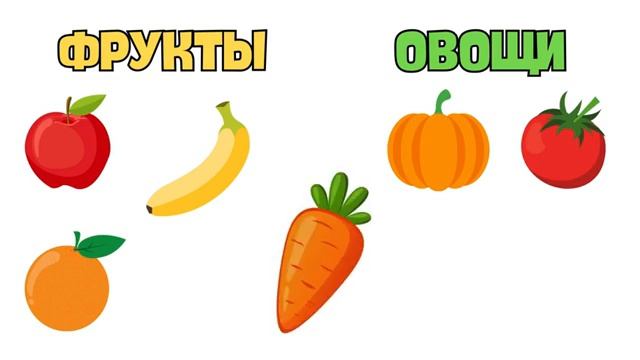 обучалки 3