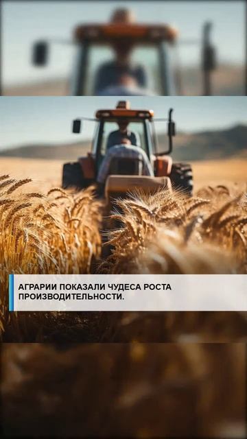 #семья #арктика #сво2025 #россия2025 #россиявперёд #подвиг #героисво #туризм #путин #наука #космос