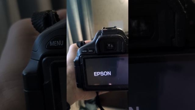 1000032490.mp4