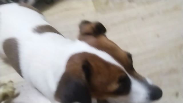 VID_20250612_210028.mp4