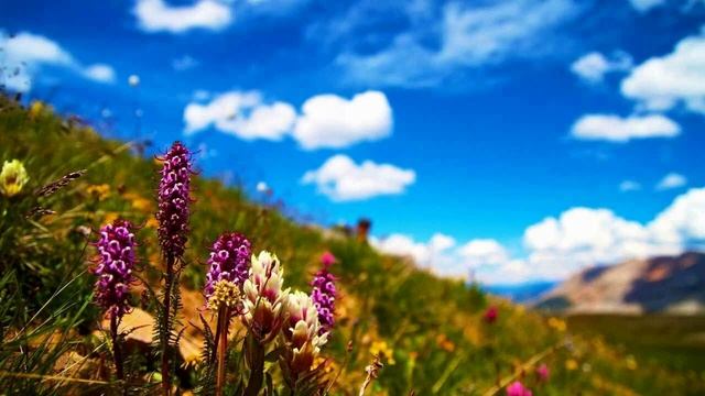 РАДОСТЬ В СЕРДЦЕ, У ПРАВЕДНИКА РАДОСТЬ В СЕРДЦЕ!. СПБ Хор