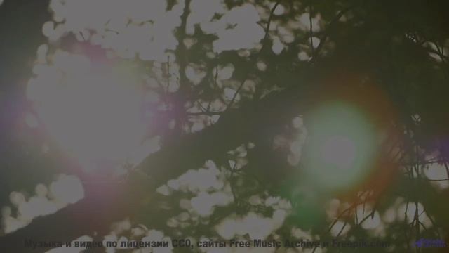 Мелодия, которая заставляет хотеть свернуть на любую неизвестную дорогу - Cant Let Go -- Fascination