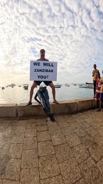 🎶 WE WILL… ZANZIBAR YOU!