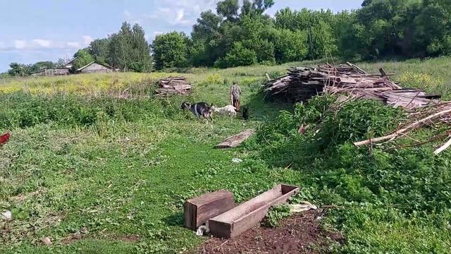Дед Матвей ничему не рад.