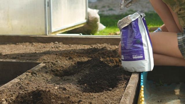Рассада приживется 100%! Когда сажать рассаду помидора и баклажана Подруги жалеют, что не знали ЭТО