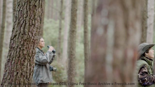Расслабьтесь. Вдохните. Позвольте музыке унести вас! - Nosedive -- Taylor Poe -- Quiet Sound of Disa