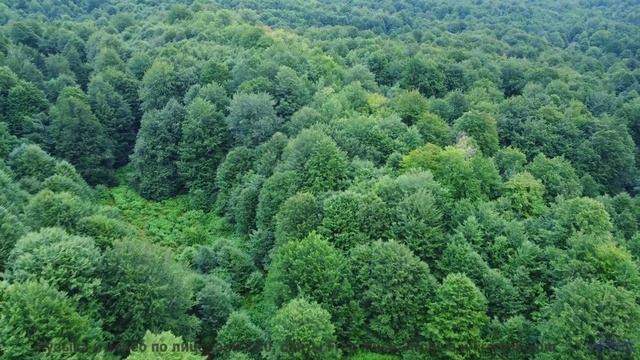 Земля звучит лучше любой симфонии в этом ролике - Ненавижу еду (Устал отдыхать) -- Александр Недугин