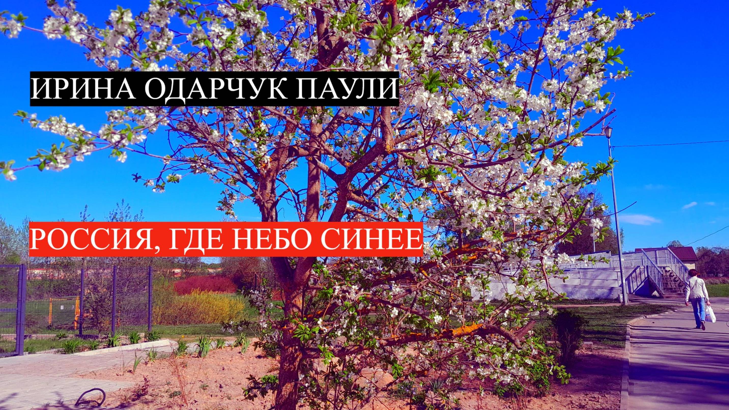 Ирина Одарчук Паули Россия, где небо синее