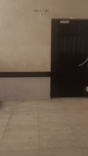 1000151318.mp4