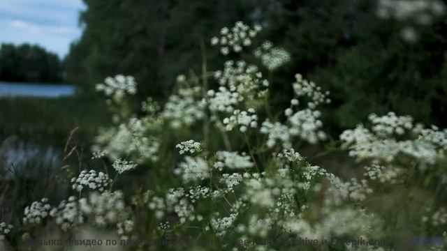 Слушайте её вместе - и почувствуйте, как вы становитесь ближе! - Better-Days-Ahead -- Ketsa -- Unifi