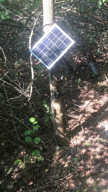 ОХОТА НА ШАКАЛА