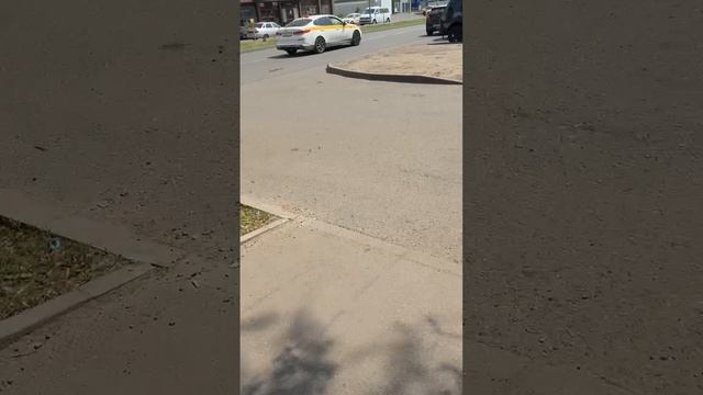 (Не)Очевидное Реутово и мои мысли